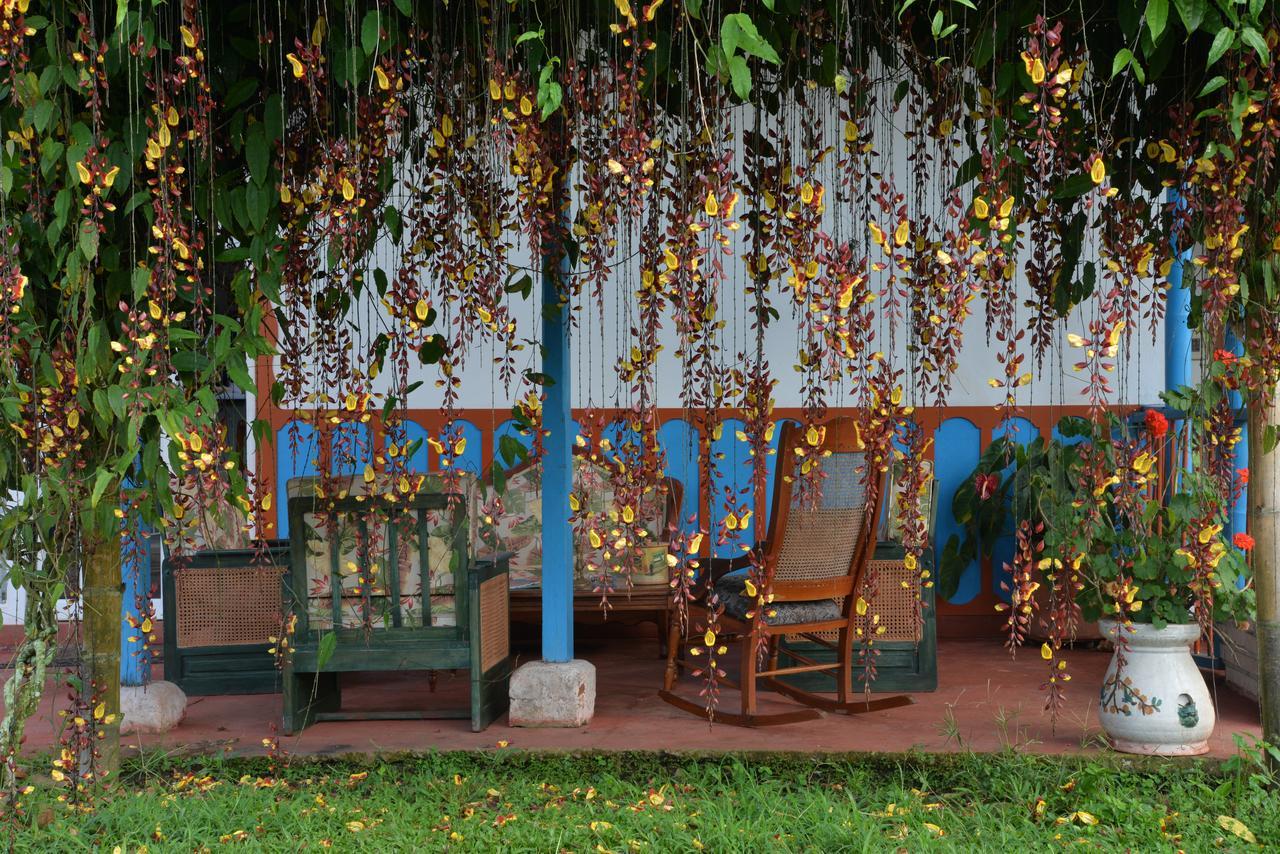 Balsora Hotel Boutique El Edén Exterior foto